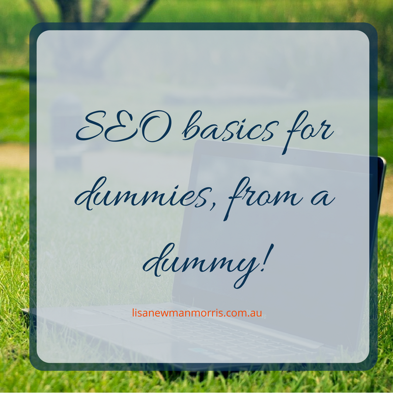 seo basics for dummies from a dummy